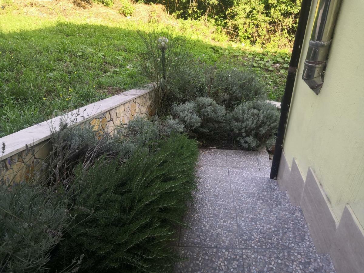 Il Roseto Bed & Breakfast Frosinone Exterior photo